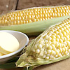 Sweet Corn True Gold 